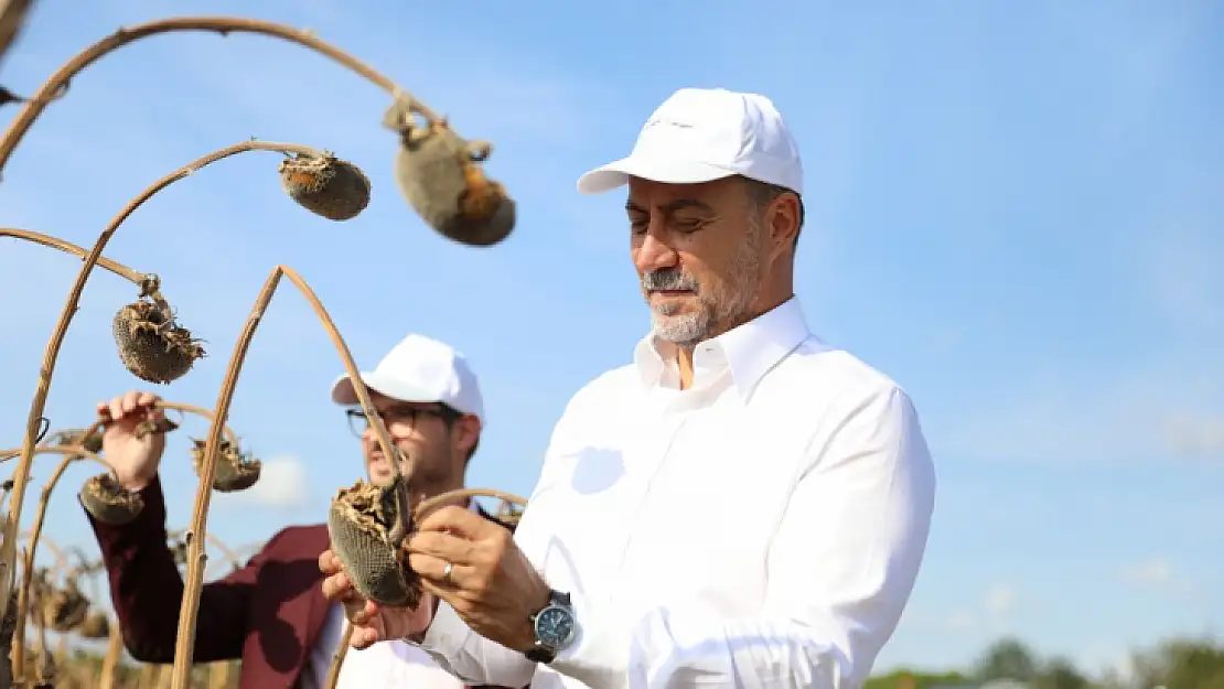 Başkan Yılmaz Milli Ayçiçek Hasadında Konuştu: 'Hayaldi Gerçek Oldu'