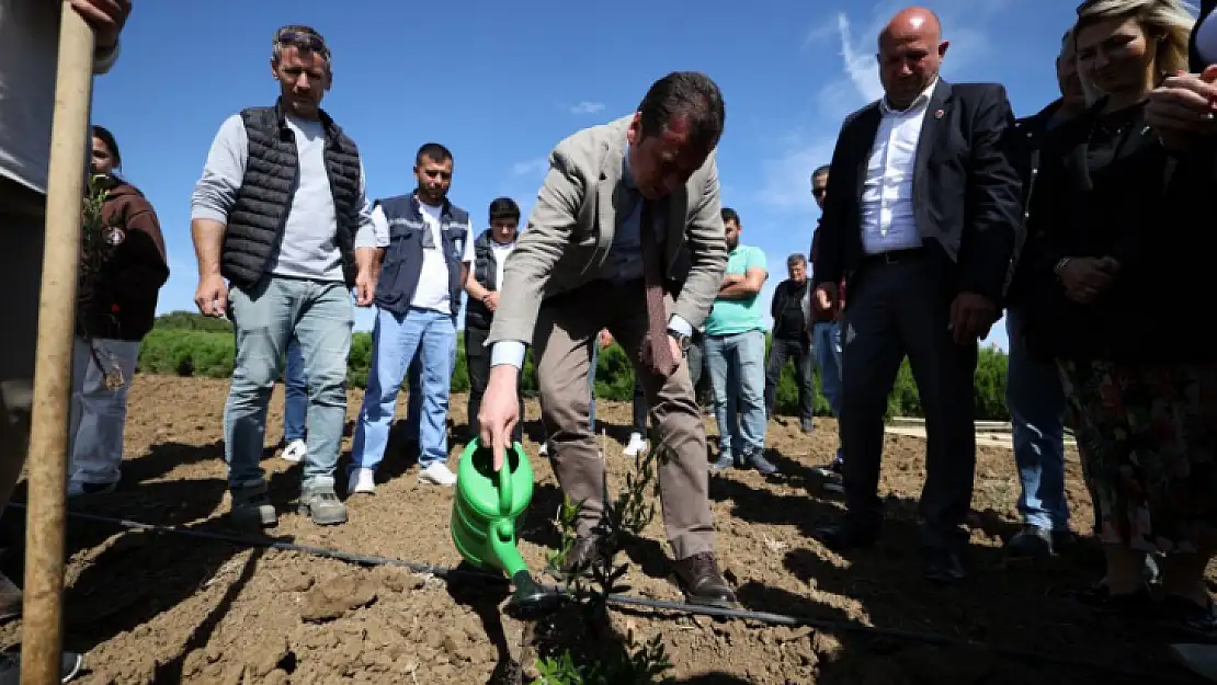 Silivri'de 14 Mayıs dünya çiftçiler günü kutlamaları zeytin fidanlarıyla anlam buldu