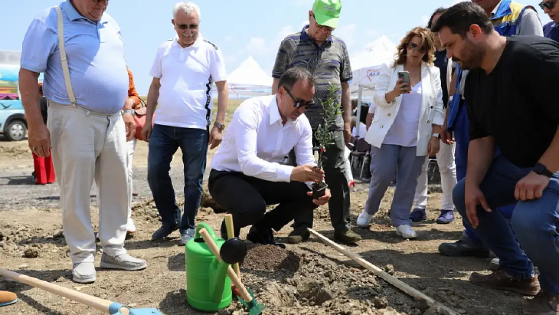 Silivri'de 5.100 adet yağlık zeytin fidanı toprakla buluştu