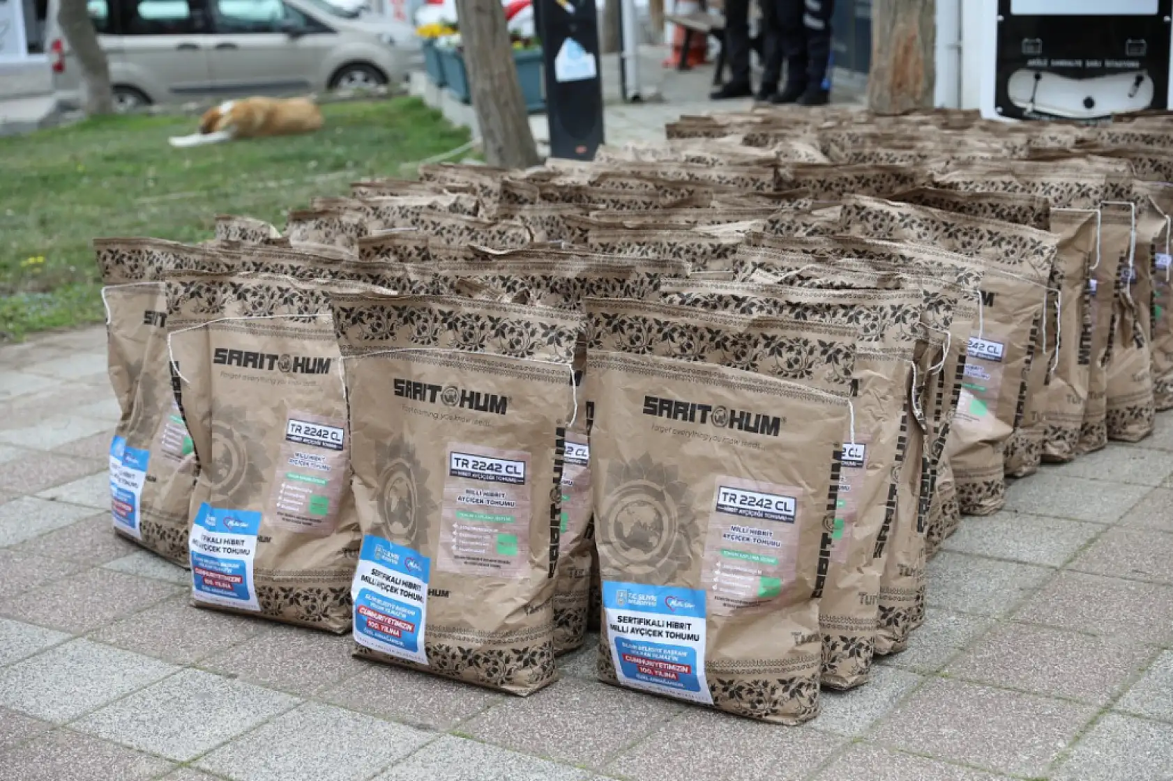 Yılmaz: 'Milli tohumlar İHA ve SİHA'lar kadar önemli'