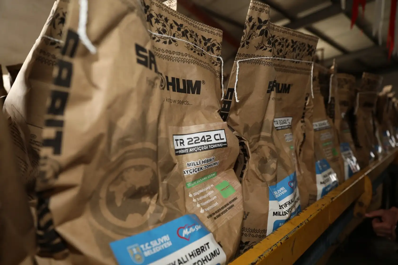 Silivri'de milli Ayçiçek tohumu dağıtımları devam ediyor