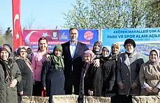 Silivri'de milli Ayçiçek tohumu dağıtımları devam ediyor