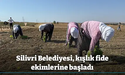 Silivri Belediyesi, kışlık fide ekimlerine başladı