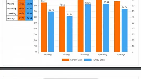 Odak Okulları ingilizce'de Türkiye ortalamasının üzerinde