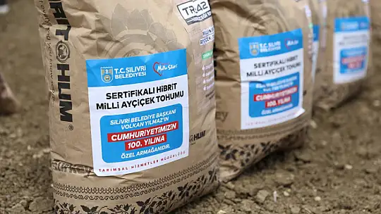 Silivri Belediyesi bu sene de 1.000 dönüm arazisine milli ayçiçeği ekiyor