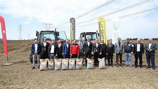 Silivri Belediyesi bu sene de 1.000 dönüm arazisine milli ayçiçeği ekiyor