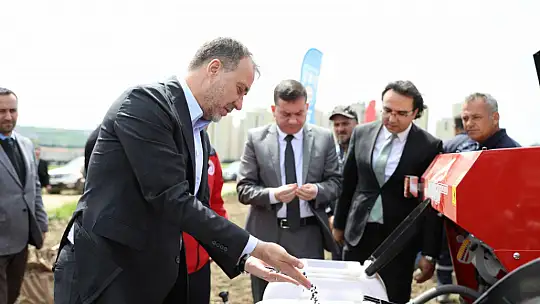 Silivri Belediyesi bu sene de 1.000 dönüm arazisine milli ayçiçeği ekiyor
