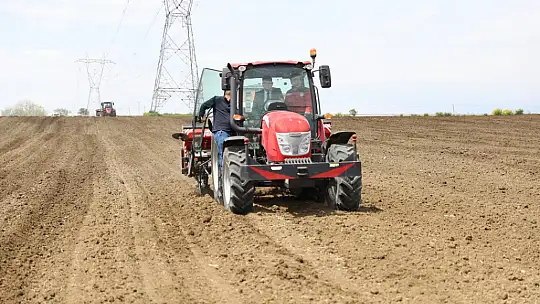 Silivri Belediyesi bu sene de 1.000 dönüm arazisine milli ayçiçeği ekiyor