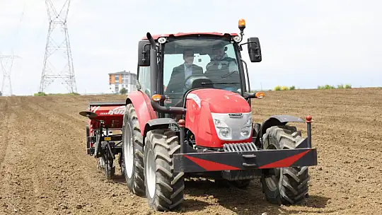Silivri Belediyesi bu sene de 1.000 dönüm arazisine milli ayçiçeği ekiyor