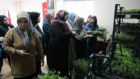 Silivri belediyesinden kursiyer kadınlara 80.000 adet fide