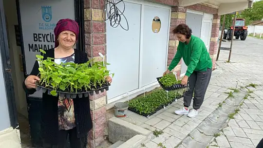Silivri belediyesinden kursiyer kadınlara 80.000 adet fide