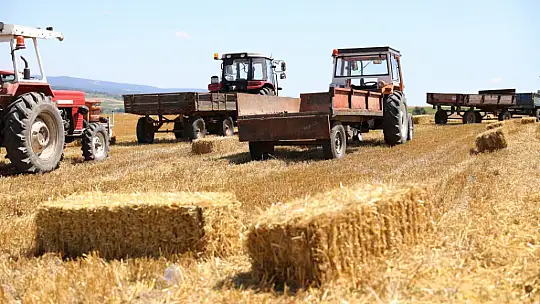 Silivri belediyesinden üreticilere 2,5 milyon tl'lik saman desteği