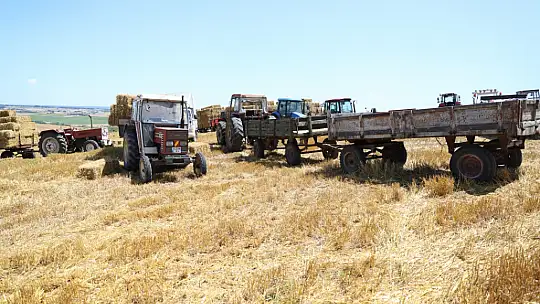 Silivri belediyesinden üreticilere 2,5 milyon tl'lik saman desteği
