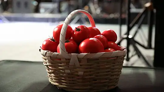 Silivri Değirmenköy'de domatesler yarıştı