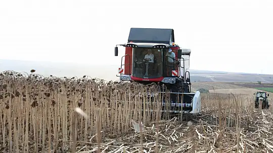 Başkan Yılmaz Milli Ayçiçek Hasadında Konuştu: 'Hayaldi Gerçek Oldu'