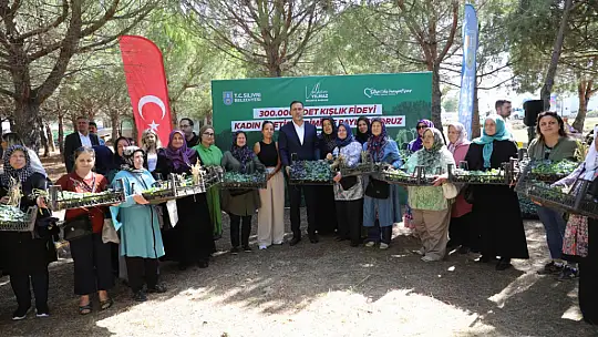 Silivri belediyesinden kadın üreticilere 300.000 fide