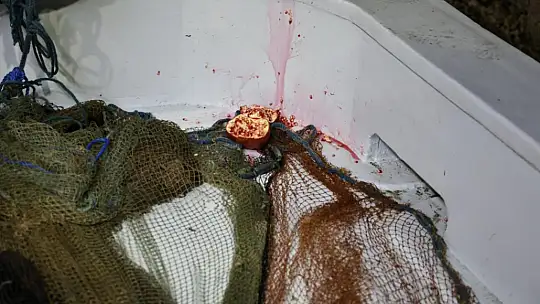 Başkan Balcıoğlu Silivrili Balıkçılarla 'Vira Bismillah' Diyerek Sezonunu Başlattı
