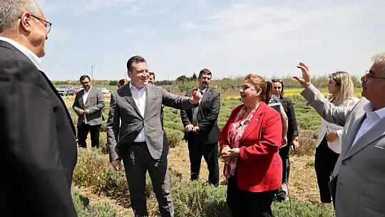 Başkan Balcıoğlu, lavanta üretimini yerinde inceledi