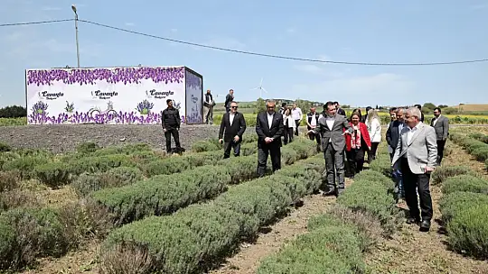 Başkan Balcıoğlu, lavanta üretimini yerinde inceledi