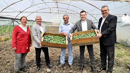 Başkan Balcıoğlu, Gazitepe Mahallesi'nde tarım alanlarını ziyaret etti
