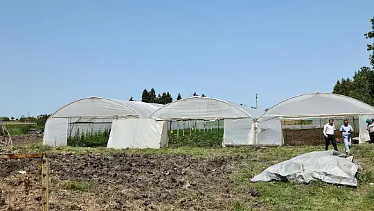 Başkan Balcıoğlu, Gazitepe Mahallesi'nde tarım alanlarını ziyaret etti