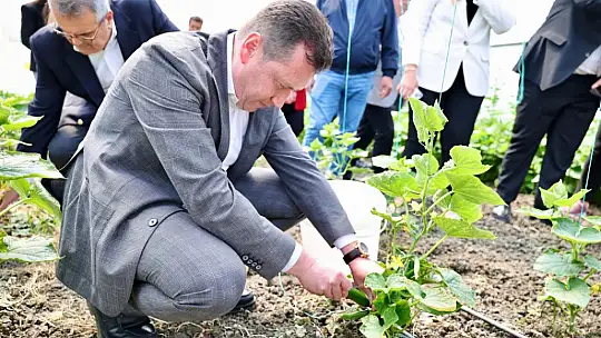 Başkan Balcıoğlu, Gazitepe Mahallesi'nde tarım alanlarını ziyaret etti