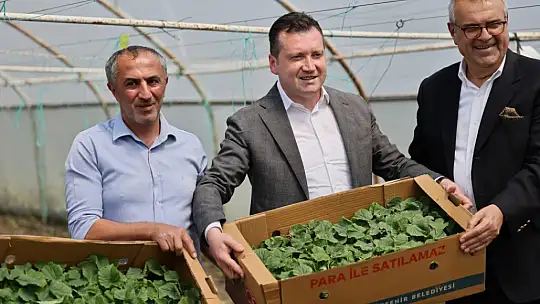 Başkan Balcıoğlu, Gazitepe Mahallesi'nde tarım alanlarını ziyaret etti