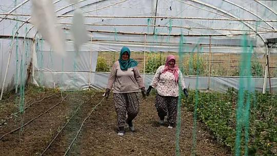 Başkan Balcıoğlu, Gazitepe Mahallesi'nde tarım alanlarını ziyaret etti