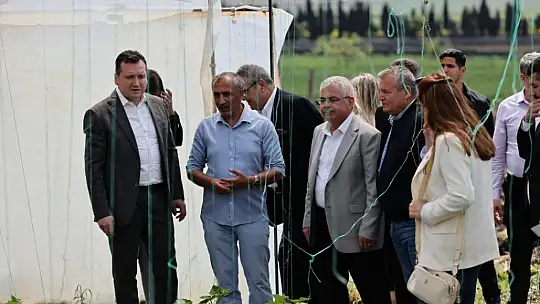 Başkan Balcıoğlu, Gazitepe Mahallesi'nde tarım alanlarını ziyaret etti