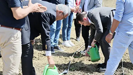 Başkan Balcıoğlu, Gazitepe Mahallesi'nde tarım alanlarını ziyaret etti