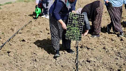 Başkan Balcıoğlu, İBB Kurmayları ile TÜRAM'ı ziyaret etti