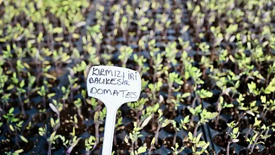 Başkan Balcıoğlu, İBB Kurmayları ile TÜRAM'ı ziyaret etti