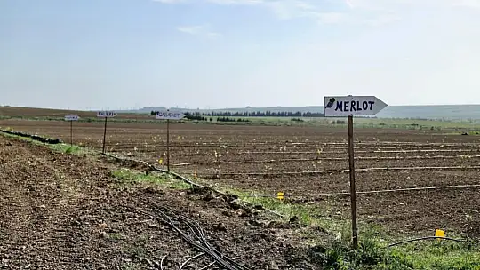 Başkan Balcıoğlu, İBB Kurmayları ile TÜRAM'ı ziyaret etti