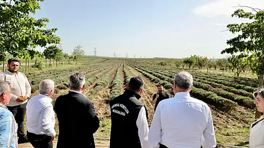 Başkan Balcıoğlu, İBB Kurmayları ile TÜRAM'ı ziyaret etti