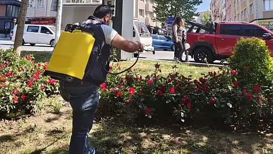 Silivri'de Park ve Yeşil Alanlarda Yaz Hazırlıkları Başladı