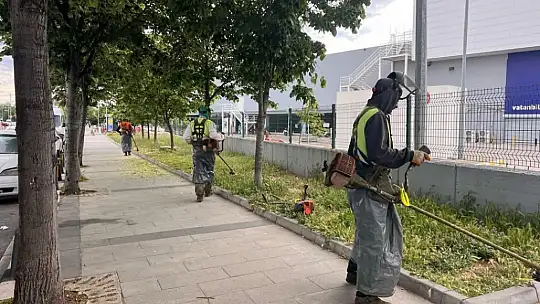 Silivri'de Park ve Yeşil Alanlarda Yaz Hazırlıkları Başladı