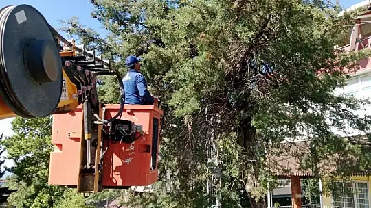 Silivri'de Park ve Yeşil Alanlarda Yaz Hazırlıkları Başladı