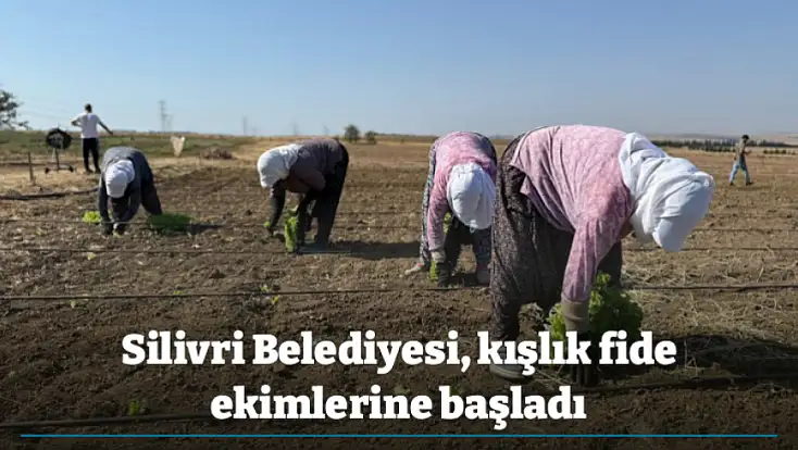 Silivri Belediyesi, kışlık fide ekimlerine başladı