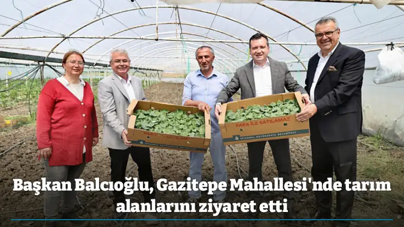 Başkan Balcıoğlu, Gazitepe Mahallesi'nde tarım alanlarını ziyaret etti